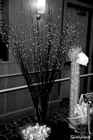 DSC_2526-1b