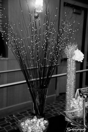 DSC_2526-1b